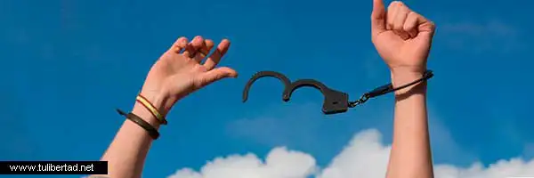 Libertad estudiar en español